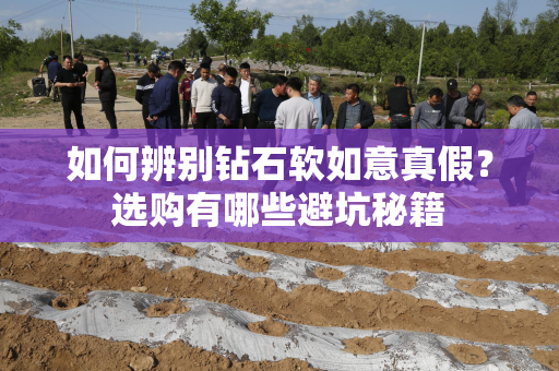 如何辨别钻石软如意真假？选购有哪些避坑秘籍